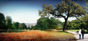 APPLE NEW HEADQUARTERS LANDSCAPE
