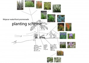 PLANTING SCHEME