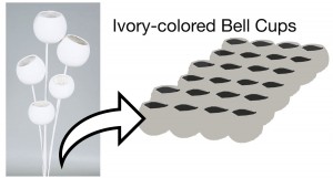 CUPS DETAIL